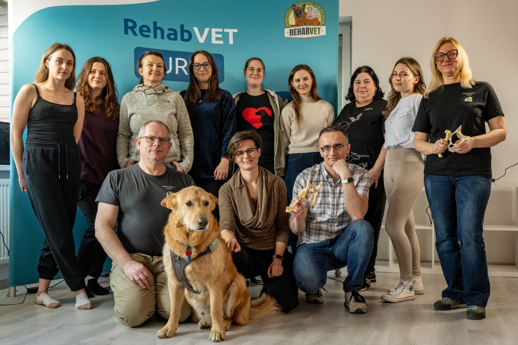 Mobilizacje stawów obwodowych psów i kotów – zdjęcie grupowe